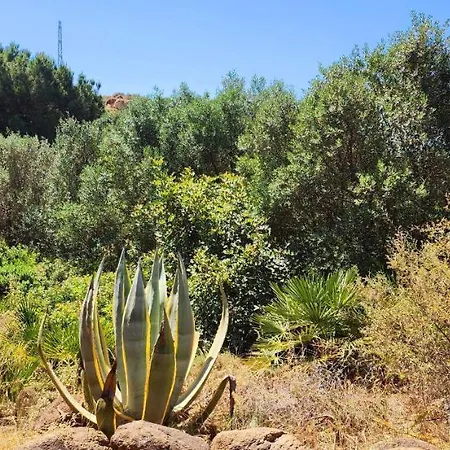 Apartamento Complejo Rural Pedregales